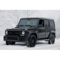 Mercedes G class w463...