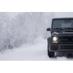 Mercedes G class w463...