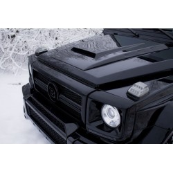 Mercedes G class w463...
