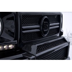 Mercedes G class w463...